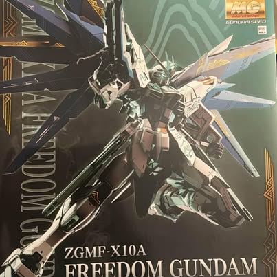 MG 1/100 ZGMF-X10A Freedom Gundam ( Chinese limited edition)